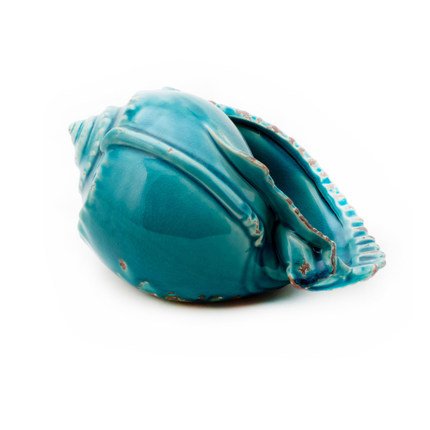 Ракушка Shell Turquoise #3 Бирюзовый Ракушка Shell Turquoise #3 Бирюзовый в Кирове | Loft Concept