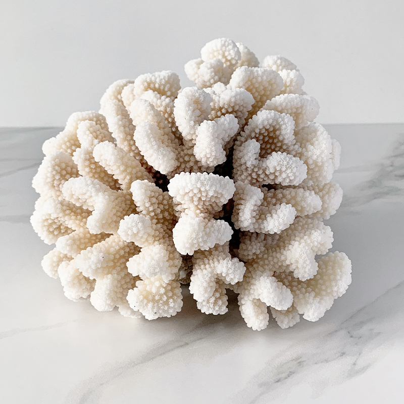 Статуэтка Brownstem Coral Статуэтка Brownstem Coral в Кирове | Loft Concept