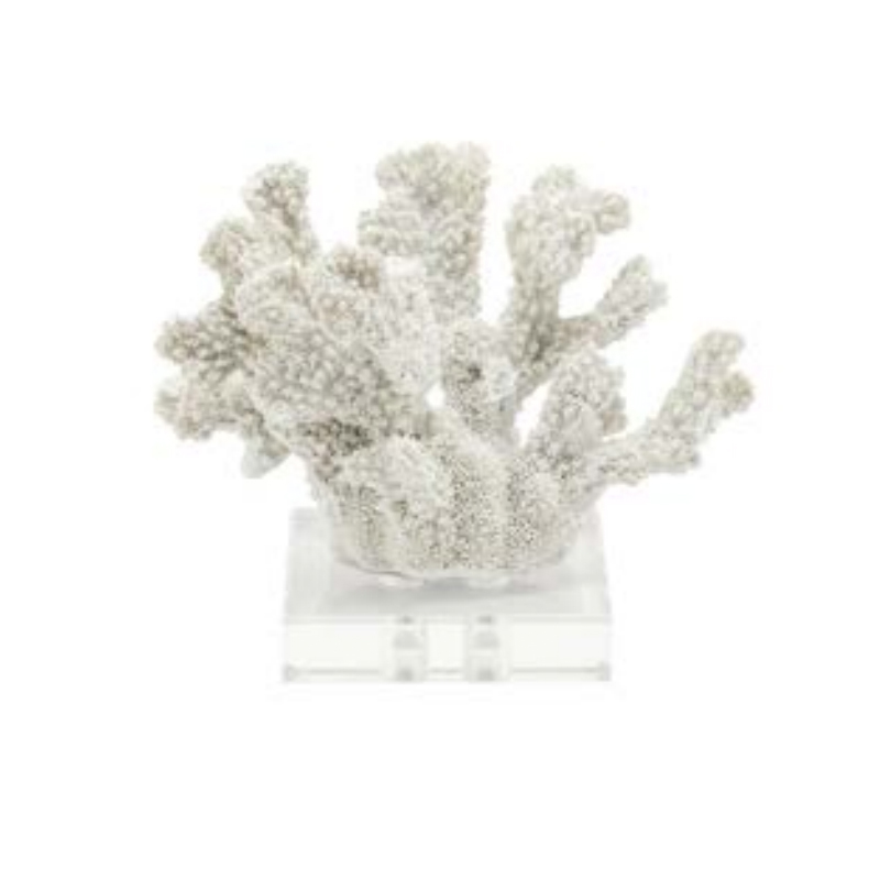 Статуэтка White Coral 12 Белый Прозрачный Статуэтка White Coral 12 Белый Прозрачный в Кирове | Loft Concept