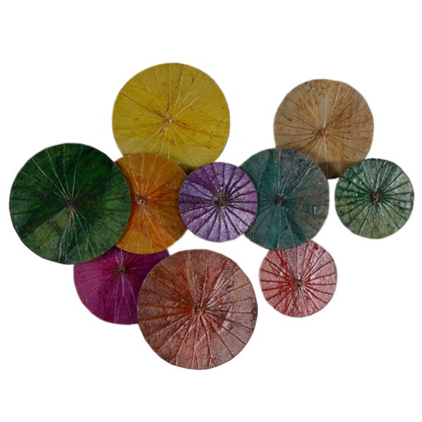 Арт-объект Disc wall art Lotus leaves Мульти Арт-объект Disc wall art Lotus leaves Мульти в Кирове | Loft Concept