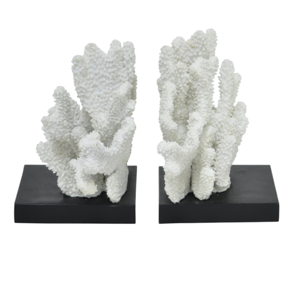 Держатели для книг White Coral Белый Держатели для книг White Coral Белый в Кирове | Loft Concept