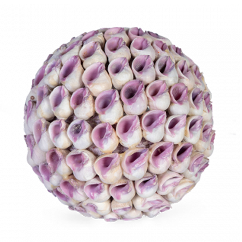 Статуэтка Coral Decor ball Коричневый Статуэтка Coral Decor ball Коричневый в Кирове | Loft Concept