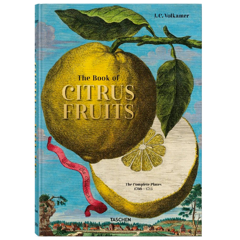 Volkamer Citrus Fruits  в Кирове | Loft Concept 
