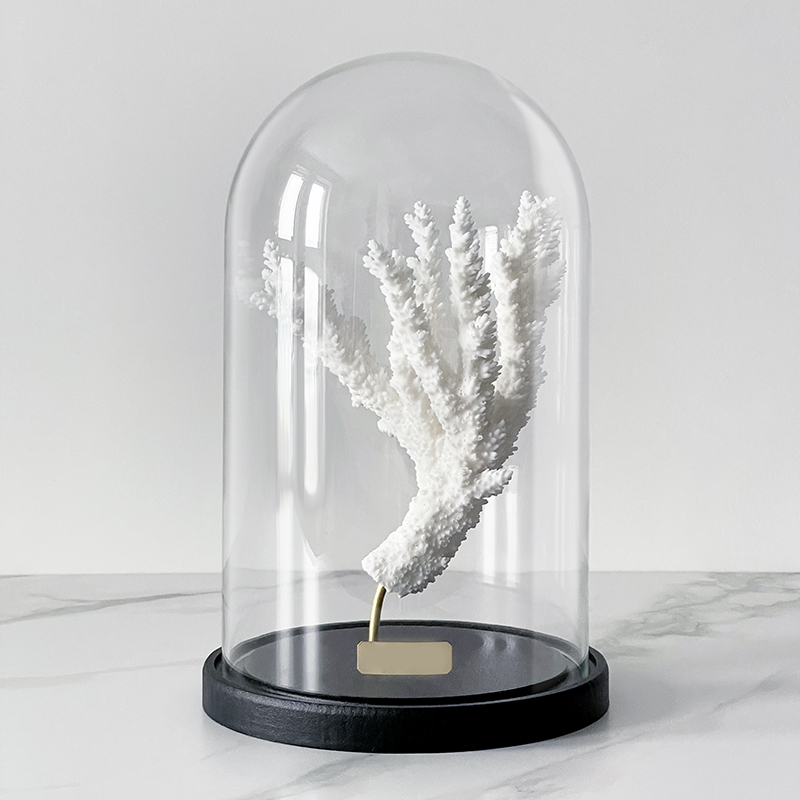 Статуэтка Natural Coral Branch Glass Cloche Статуэтка Natural Coral Branch Glass Cloche в Кирове | Loft Concept