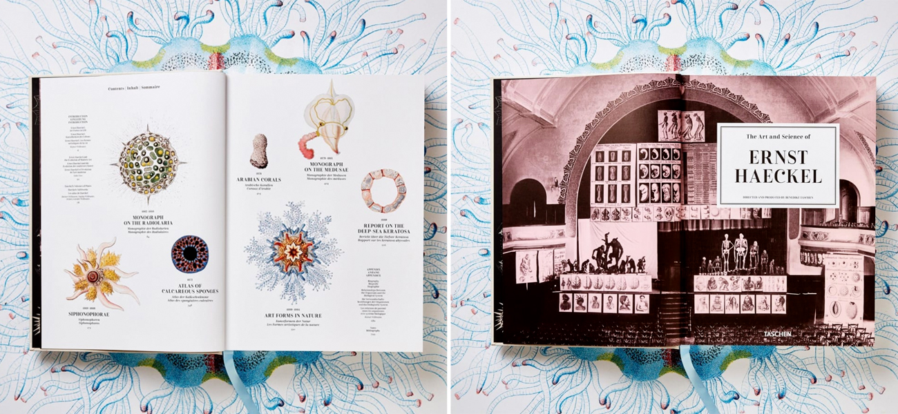 The Art and Science of Ernst Haeckel XXL - фото №1