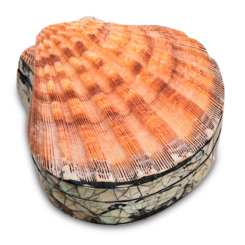 Шкатулка Shell Box II Коралловый Шкатулка Shell Box II Коралловый в Кирове | Loft Concept