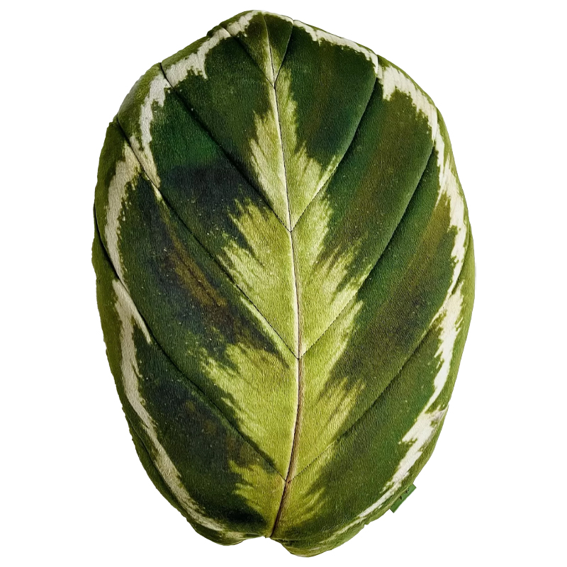Декоративная подушка Botanical Cushion Calathea Medallion Зеленый Декоративная подушка Botanical Cushion Calathea Medallion Зеленый в Кирове | Loft Concept