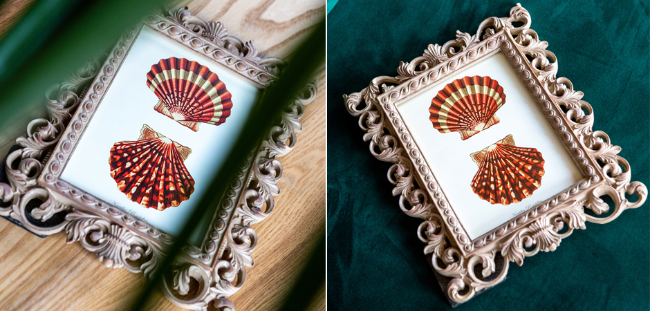 Постер Red Scallop Poster - Loft-Concept в Кирове