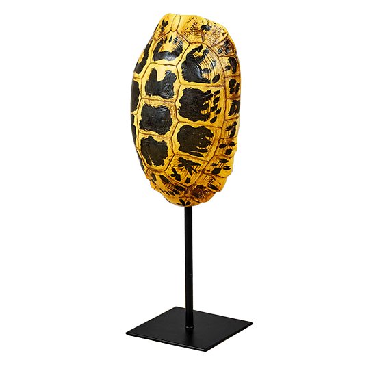 Статуэтка Yellow Tortoise Shell Черный Желтый Статуэтка Yellow Tortoise Shell Черный Желтый в Кирове | Loft Concept