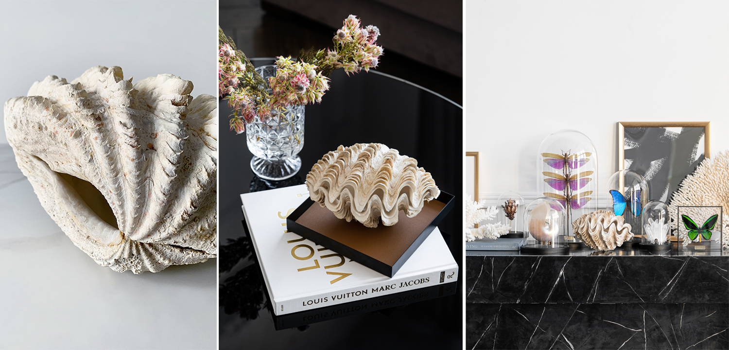 Статуэтка Tridacna Maxima Shell - фото