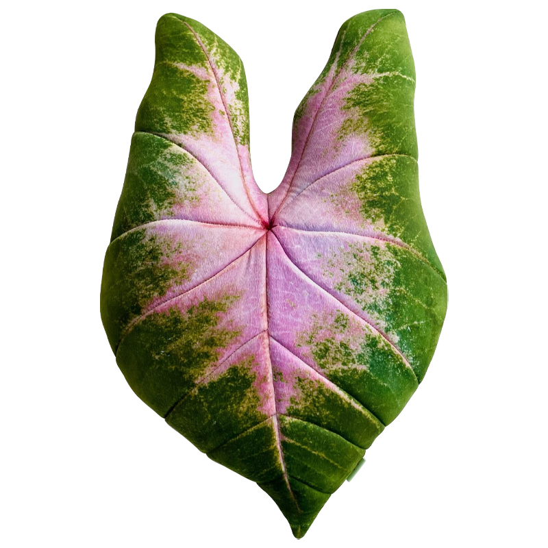 Декоративная подушка Botanical Cushion Caladium Bicolor Зеленый Розовый Декоративная подушка Botanical Cushion Caladium Bicolor Зеленый Розовый в Кирове | Loft Concept