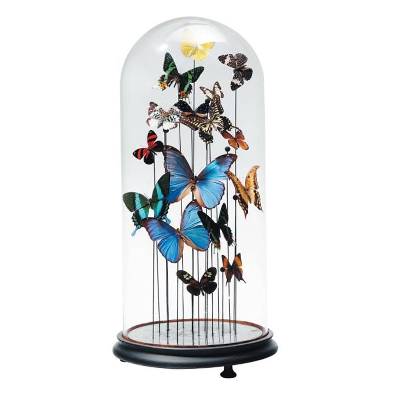 Статуэтка 15 Butterflies Glass Cloche Статуэтка 15 Butterflies Glass Cloche в Кирове | Loft Concept