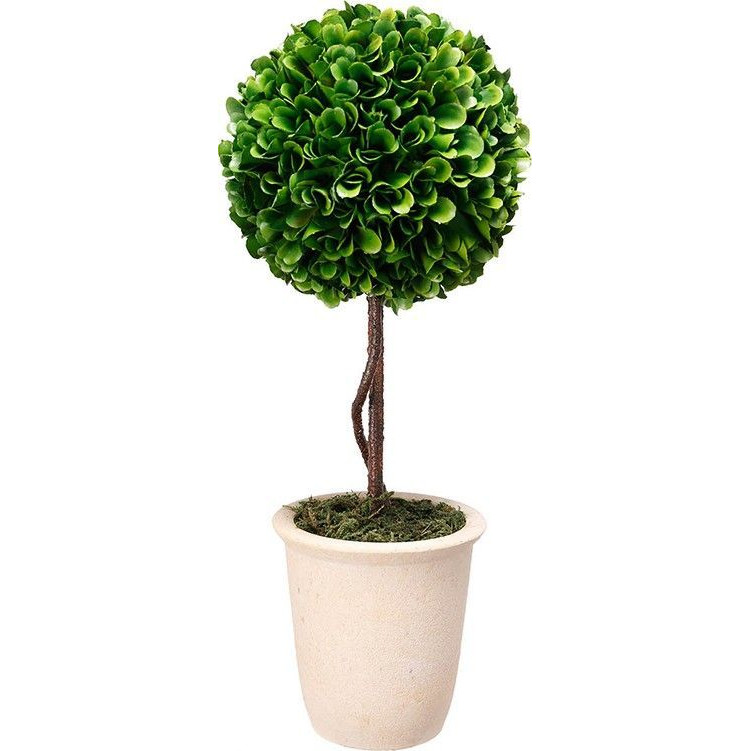 Декоративный искусственное растение Single boxwood Зеленый Бежевый Коричневый Декоративный искусственное растение Single boxwood Зеленый Бежевый Коричневый в Кирове | Loft Concept