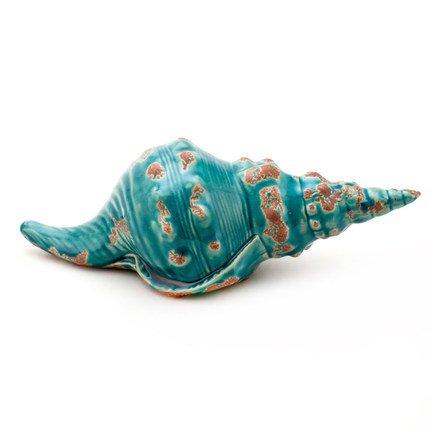Ракушка Shell Turquoise #1 Бирюзовый Ракушка Shell Turquoise #1 Бирюзовый в Кирове | Loft Concept