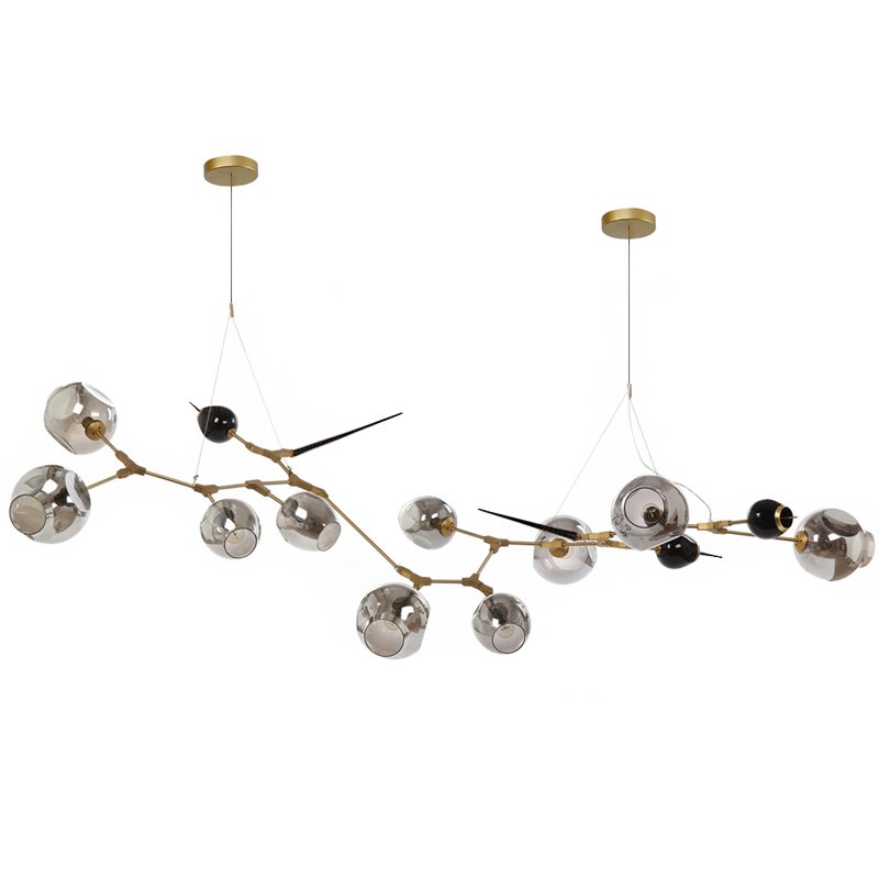 Люстра Chandelier bubbles and thorns Золотой Прозрачное Стекло Прозрачный черный Люстра Chandelier bubbles and thorns Золотой Прозрачное Стекло Прозрачный черный в Кирове | Loft Concept