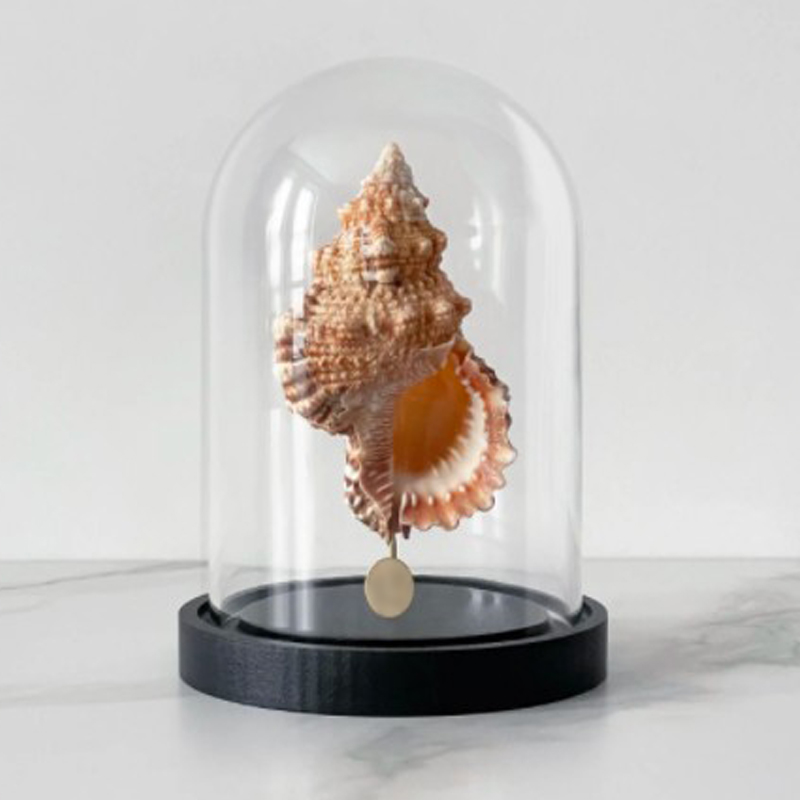 Статуэтка Bursa Rubeta Glass Cloche  в Кирове | Loft Concept 