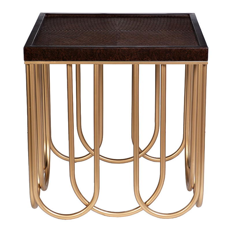 Приставной стол Cassel Side Table Дерево Табак Золотой Приставной стол Cassel Side Table Дерево Табак Золотой в Кирове | Loft Concept