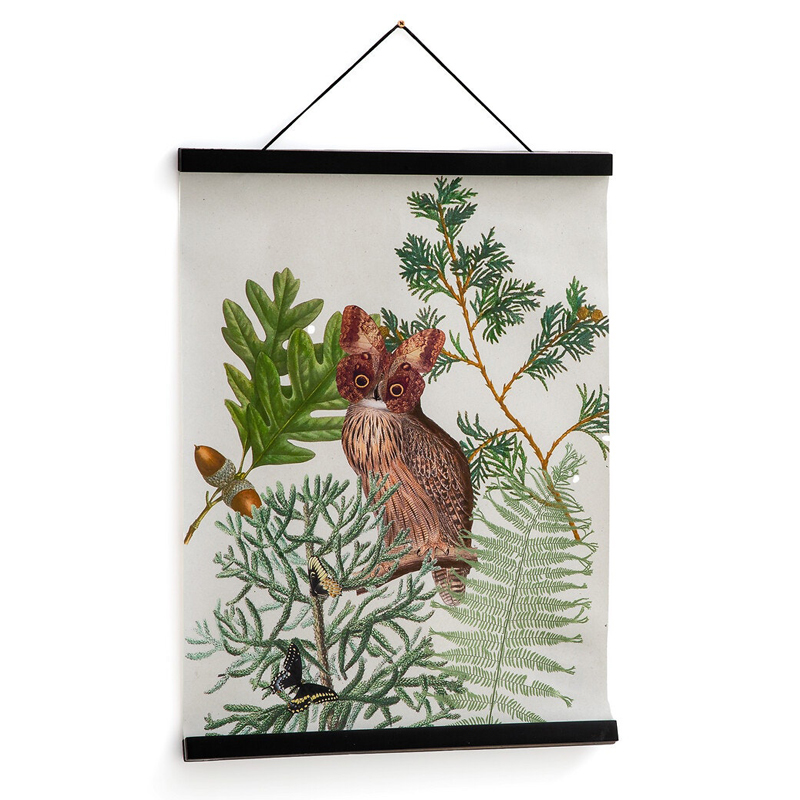 Постер Poster of Plants & Birds сова Мульти Постер Poster of Plants & Birds сова Мульти в Кирове | Loft Concept