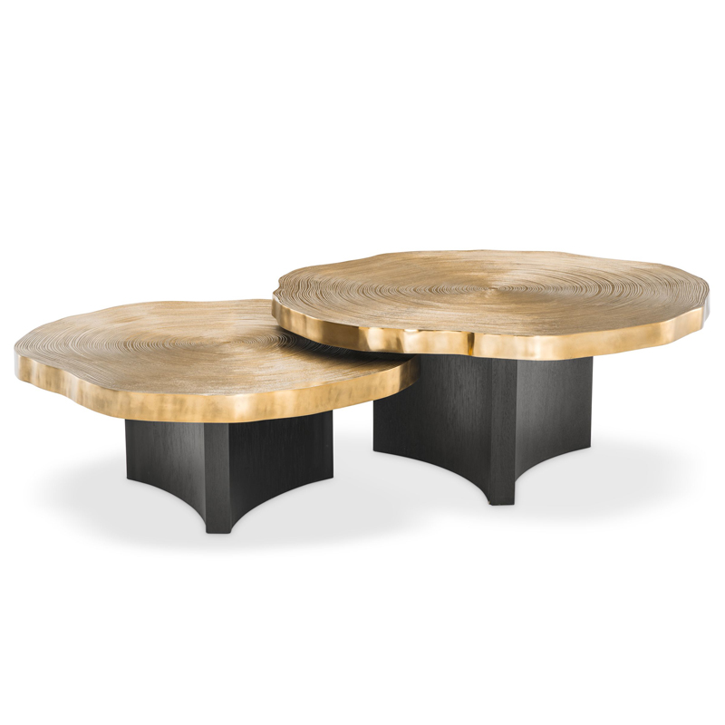 Комплект кофейных столов Eichholtz Coffee Table Thousand Oaks set of 2 Черный Латунь Комплект кофейных столов Eichholtz Coffee Table Thousand Oaks set of 2 Черный Латунь в Кирове | Loft Concept