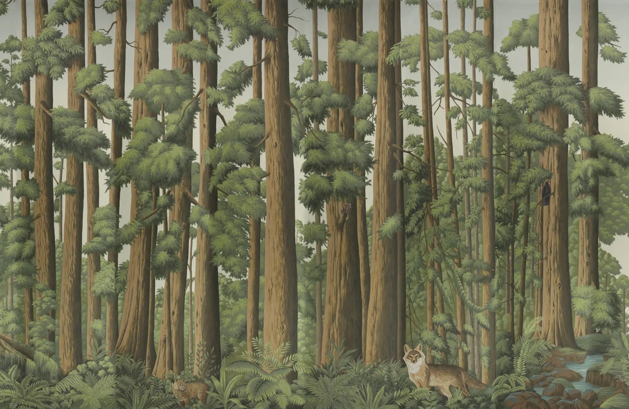 Обои ручная роспись Redwoods Colourway SC-281 on scenic paper - постер Loft-Concept в Кирове