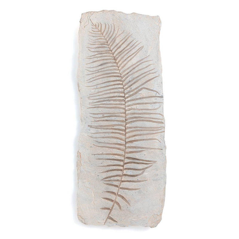 Аксессуар на стену Tropical Leaf Бежево-серый Аксессуар на стену Tropical Leaf Бежево-серый в Кирове | Loft Concept