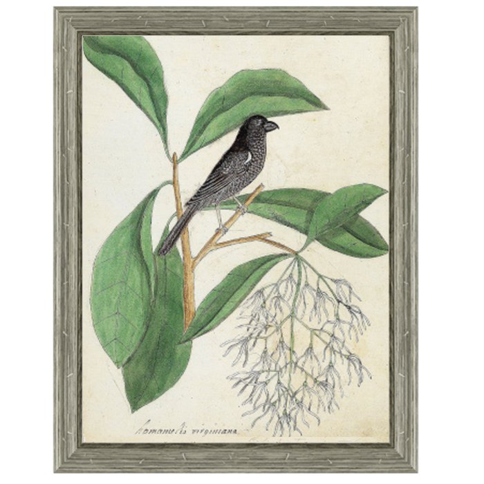 Постер Black Bird & White Flowers Постер Black Bird & White Flowers в Кирове | Loft Concept