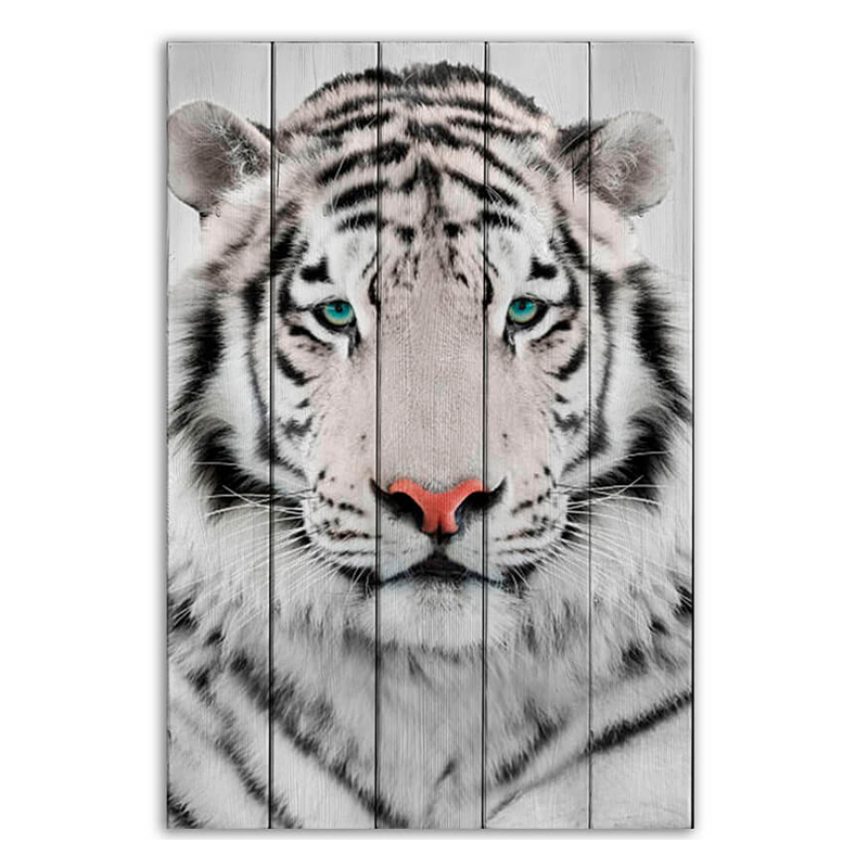 Постер White Tiger Постер White Tiger в Кирове | Loft Concept