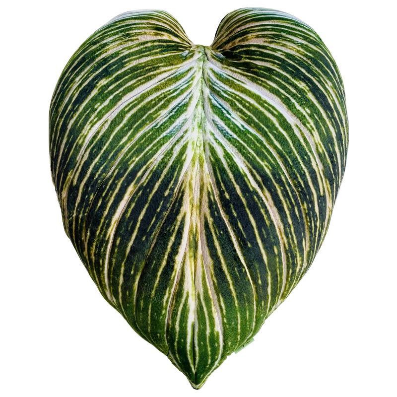 Декоративная подушка Botanical Cushion Philodendron Birkin Зеленый Салатовый Белый Декоративная подушка Botanical Cushion Philodendron Birkin Зеленый Салатовый Белый в Кирове | Loft Concept