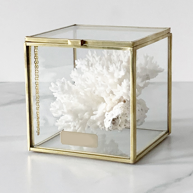 Статуэтка Natural Coral Glass Box S Статуэтка Natural Coral Glass Box S в Кирове | Loft Concept