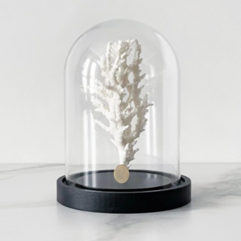 Статуэтка White Coral Glass Cloche  в Кирове | Loft Concept 
