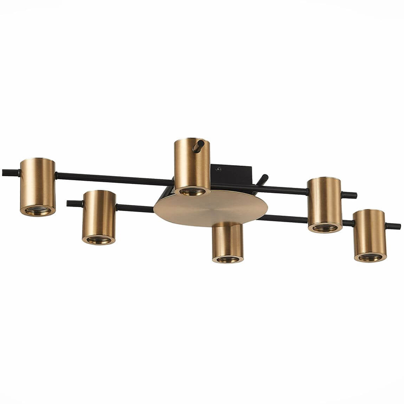 Потолочный светильник Aigle Ceiling Light 6 Черный Латунь Потолочный светильник Aigle Ceiling Light 6 Черный Латунь в Кирове | Loft Concept