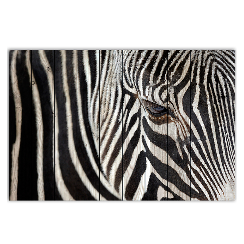 Постер Zebra Постер Zebra в Кирове | Loft Concept