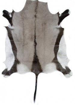 Натуральная шкура антилопы Gemsbok Черный Натуральная шкура антилопы Gemsbok Черный в Кирове | Loft Concept