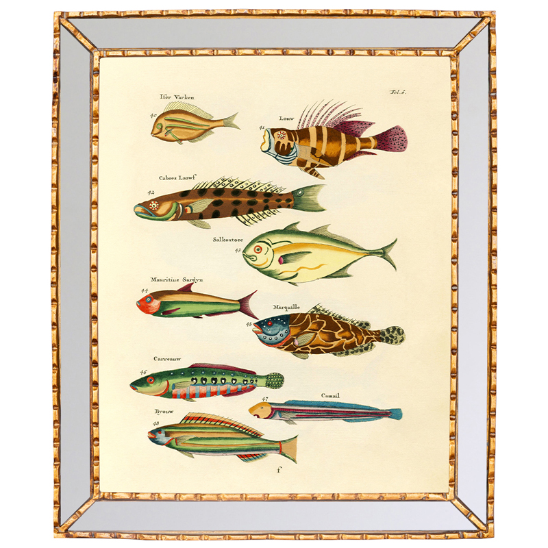 Постер в зеркальной раме Fish Guide 2 Мульти Золотой Постер в зеркальной раме Fish Guide 2 Мульти Золотой в Кирове | Loft Concept