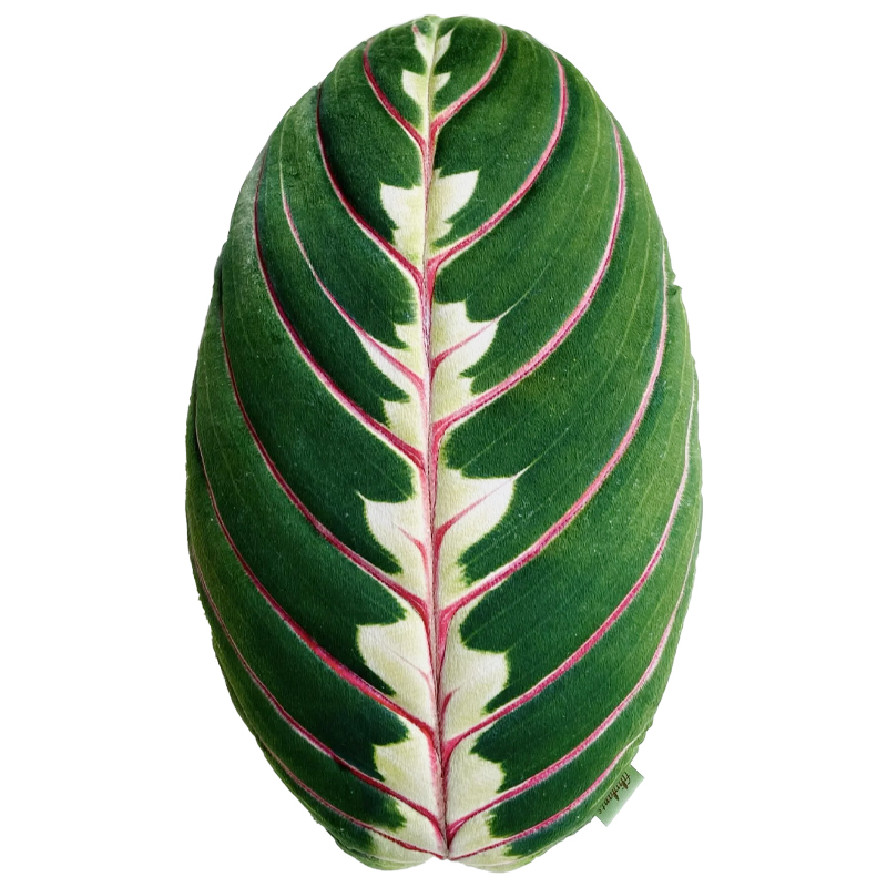 Декоративная подушка Botanical Cushion Maranta Trikolor Зеленый Бургундский красный Декоративная подушка Botanical Cushion Maranta Trikolor Зеленый Бургундский красный в Кирове | Loft Concept