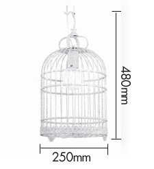 Подвесной светильник Bird Cage Подвесной светильник Bird Cage в Кирове