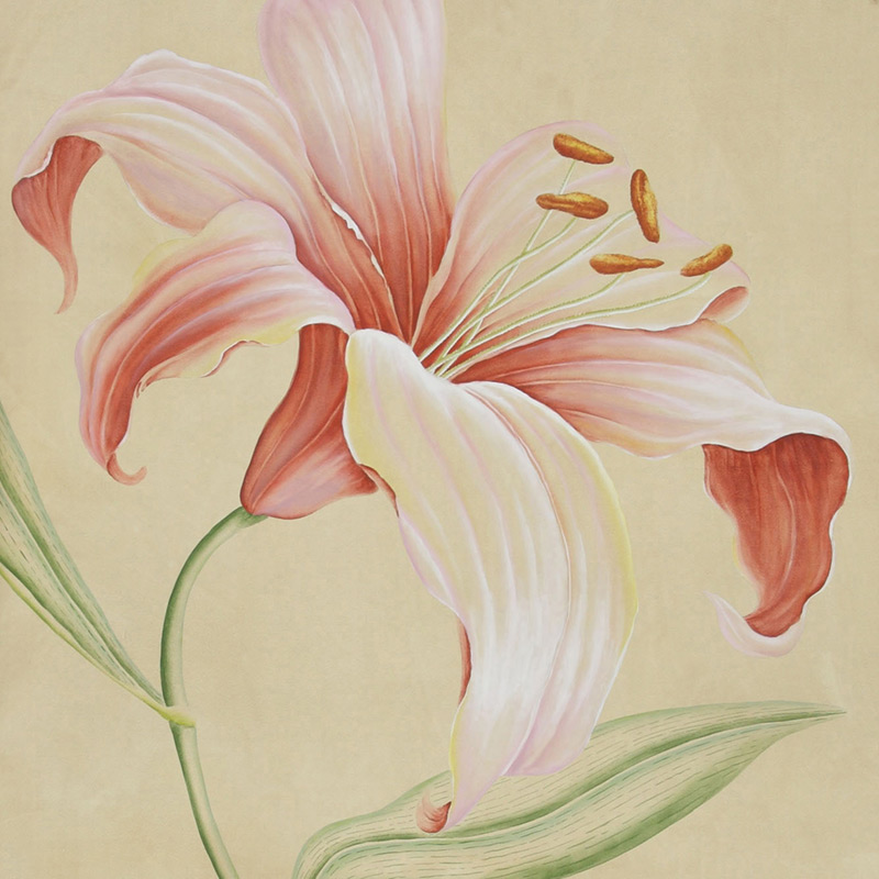 Обои ручная роспись Lilium Special Colourway on yellow painted silk Обои ручная роспись Lilium Special Colourway on yellow painted silk в Кирове | Loft Concept