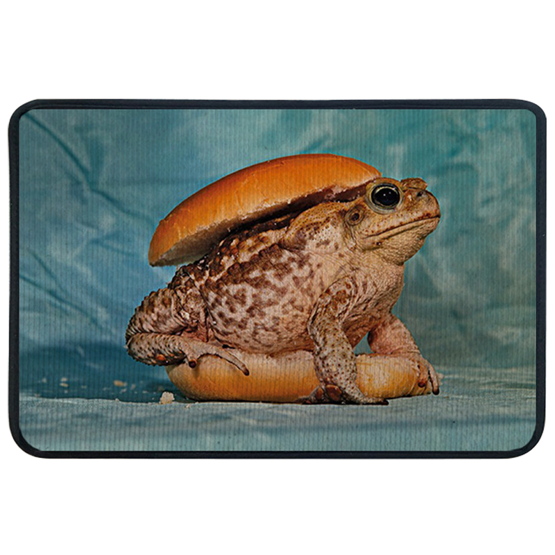 Ковер для прихожей и ванной Seletti Toad Rug Мульти Голубой Ковер для прихожей и ванной Seletti Toad Rug Мульти Голубой в Кирове | Loft Concept