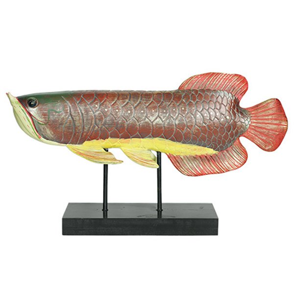 Аксессуар для интерьера рыба Colored Fish  в Кирове | Loft Concept 