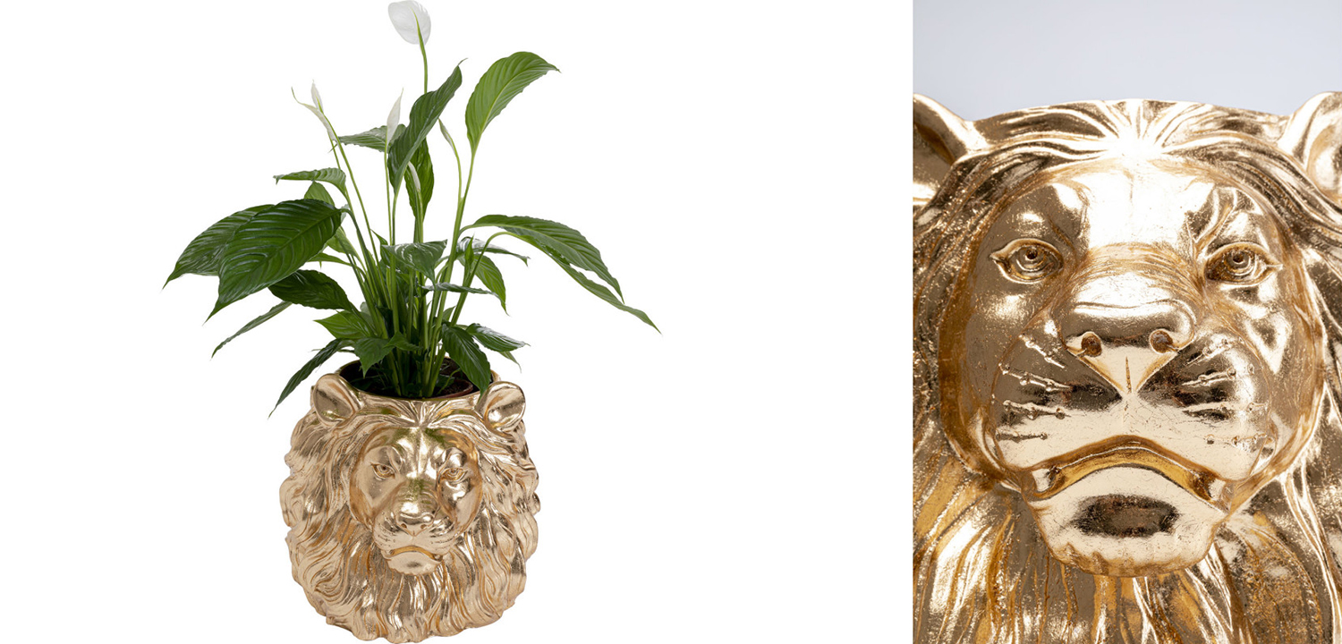 Кашпо Золотой Лев Lion