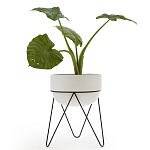 Кашпо Elevated Planters Luna 54 белое варинант исполнения - 2 | Loft Concept в Кирове