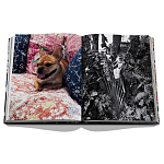 Книга подарочная Смелый бразильский стиль Сиг Бергамина Assouline Maximalism by Sig Bergamin варинант исполнения - 9 | Loft Concept в Кирове