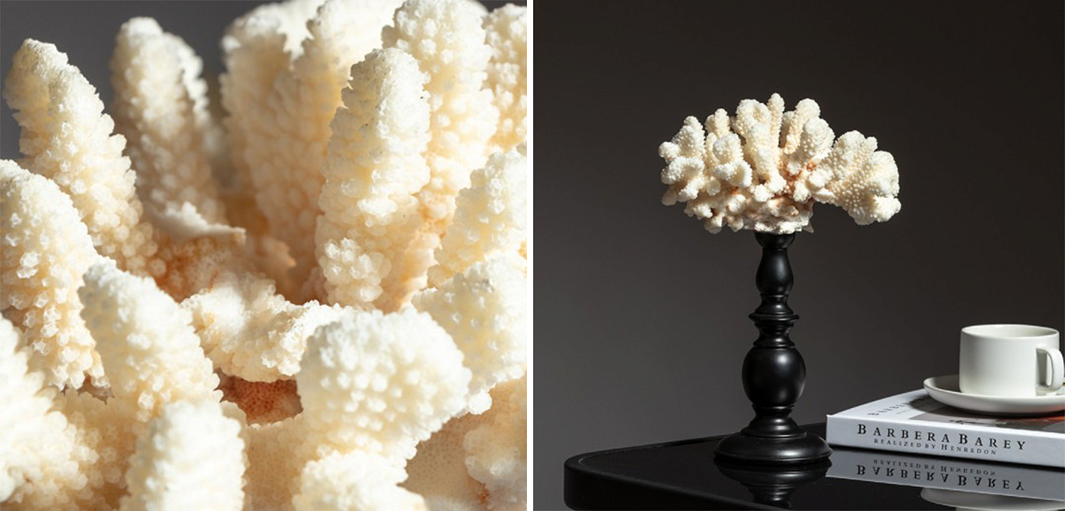 Статуэтка White Coral Decor Статуэтка White Coral Decor - Loft-Concept в Кирове