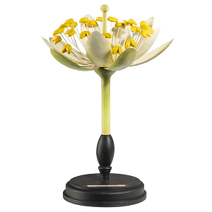 Статуэтка Tilia