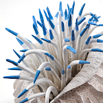 Статуэтка тропический фрукт Tropical Fruit White Blue варинант исполнения - 1 | Loft Concept в Кирове