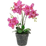 Декоративный искусственное растение Pink orchid варинант исполнения - 1 | Loft Concept в Кирове