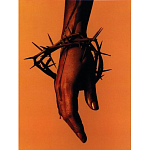 Подарочная книга величайший фотограф Альберт Уотсон The Vienna album Albert Watson варинант исполнения - 4 | Loft Concept в Кирове