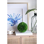 Декоративный искусственное растение Round boxwood варинант исполнения - 4 | Loft Concept в Кирове