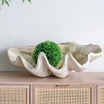 Блюдо декоративное в виде ракушки Seashell варинант исполнения - 3 | Loft Concept в Кирове