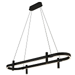 Люстра подвесная овальная черная  Black Light Fixtures варинант исполнения - 1 | Loft Concept в Кирове